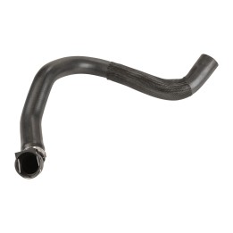 Lower left radiator hose 16203