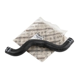 Radiator hose 51896701
