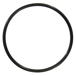 Junta do termóstato (O-ring) OR52,07X2,62N