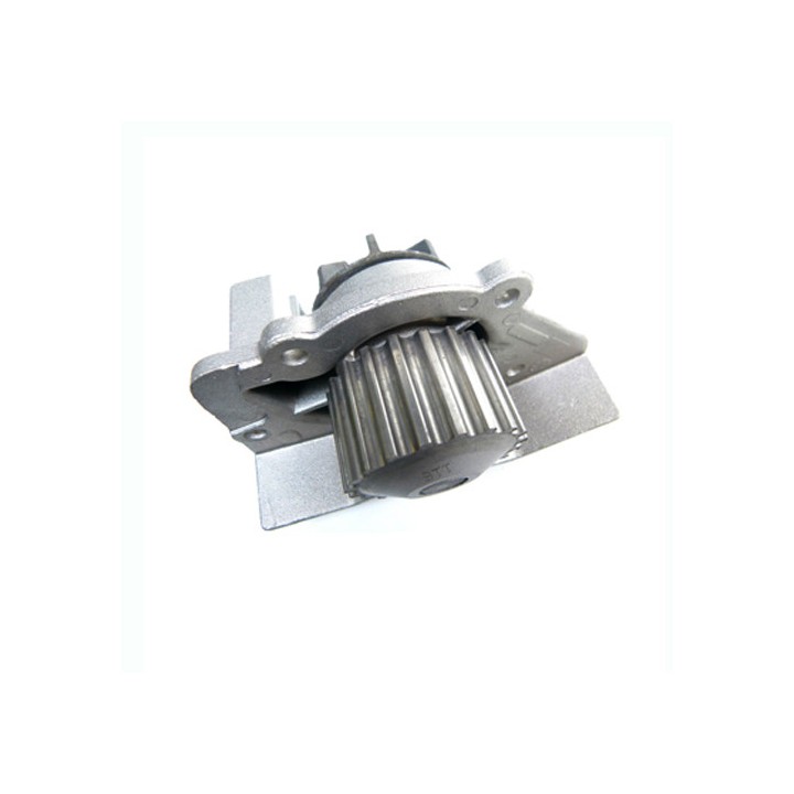 Pompe à eau 130098