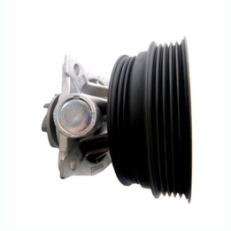 Water pump insert 130179