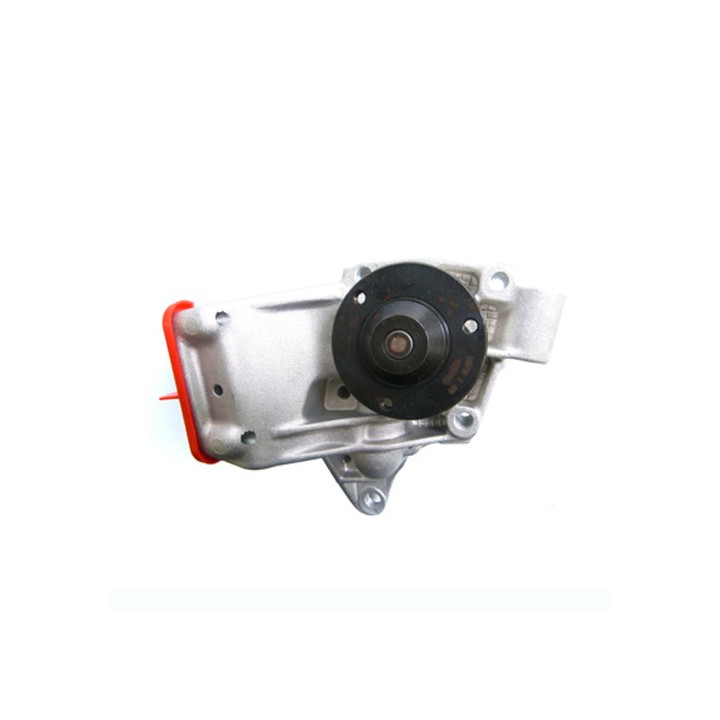 Water pump 860010019