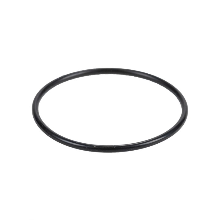 Junta do termóstato (O-ring) 14459580