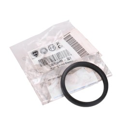 Thermostat seal 9467538980