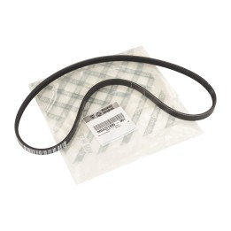 V-ribbed belts 55227895