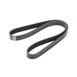 Correa trapezoidal 6PK1000 Dayco