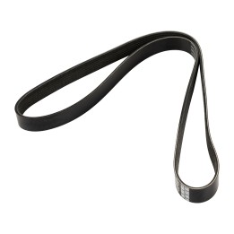 Courroie trapézoïdale crantée 7PK1334S DAYCO