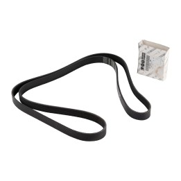 Cinghia trapezoidale 6K1855 71753671