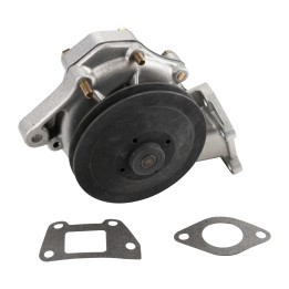 Pompe à eau Magneti Marelli 352316170337