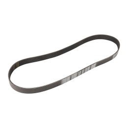 V-ribbed belts 46356061