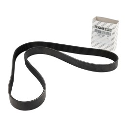 Cinghia trapezoidale 7PK1236 6000636668
