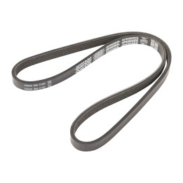 Correa elástica 4k922 Dayco 4PK922EE
