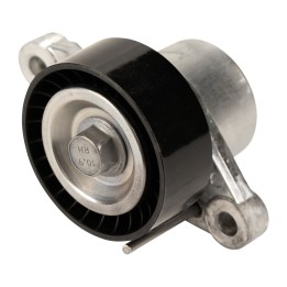 Spannrolle Dayco APV3861