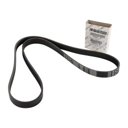 V-ribbed belts 51824327
