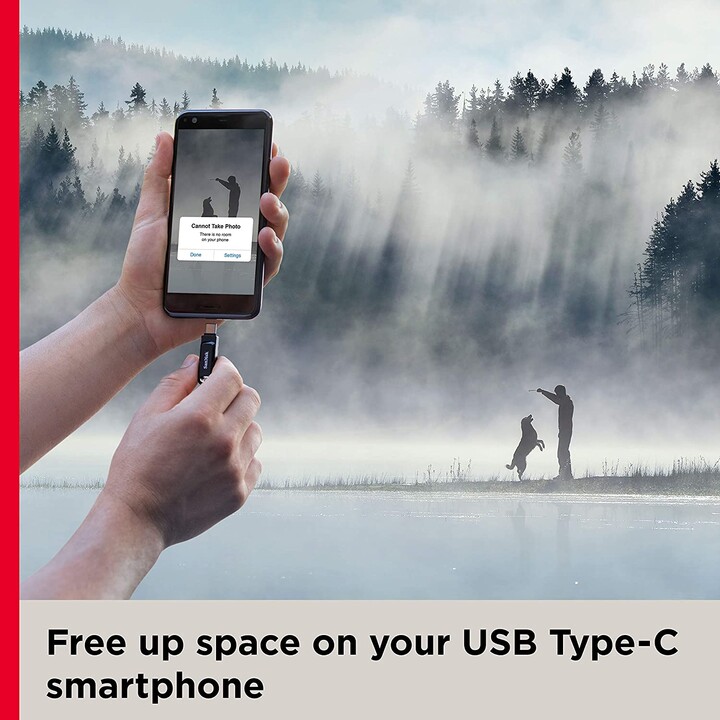 SanDisk SDDDC3-256G-G46 Ultra Dual Drive GO - 256 GB