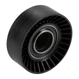Pollaio per cinghia piatta Dayco APV2157