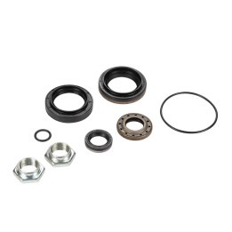 Gearbox seal kit (without Wedi) 171919
