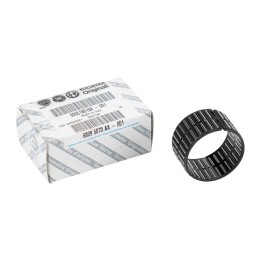 Gears, roller cage 55180108