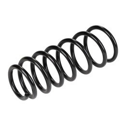 Rear suspension spring 66045