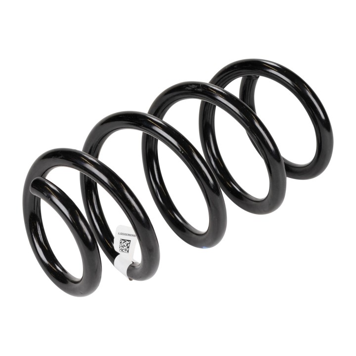 Coil spring 50543060
