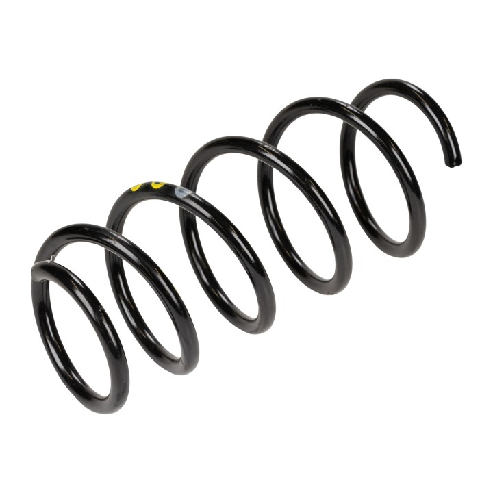 Coil spring 52016894
