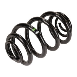 Rear coil spring 6000620080
