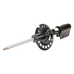 Front shock absorbers 9846669680
