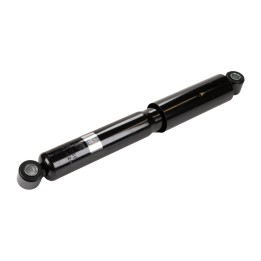 Ammortizzatori posteriori FT11250