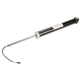 Rear shock absorbers 50553943