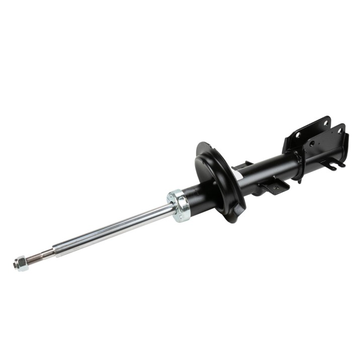 Stossdämpfer hinten 110117.0