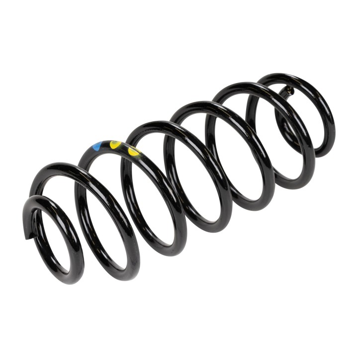 Rear spring 51856831