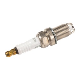 Candela Champion OE216