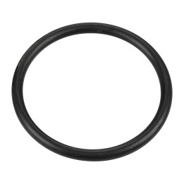 O-ring for ignition coil (OE) (14463980)