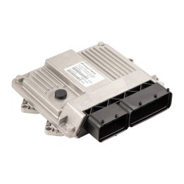 Fuel injection control unit – Engine Management Magneti Marelli 217160001604