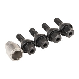 Tornillos antirrobo 50290900