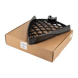 Radiator grille with carbon inserts 50903642