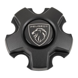 Wheel centre caps 1695141780