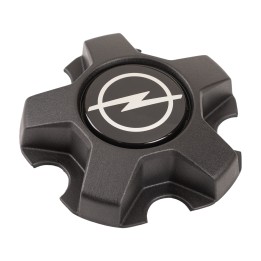 Wheel centre caps 1695141580