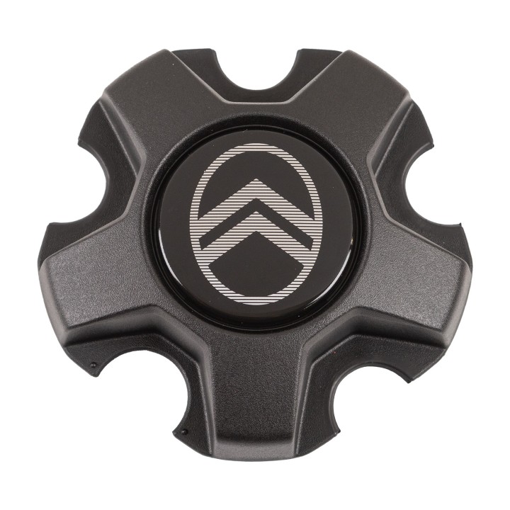 Wheel centre caps 1695141480