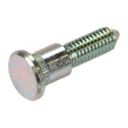 Bolt for door hinge 500332441