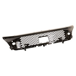 Lower front radiator grille 9850370580