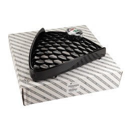 Front radiator grille 156157028