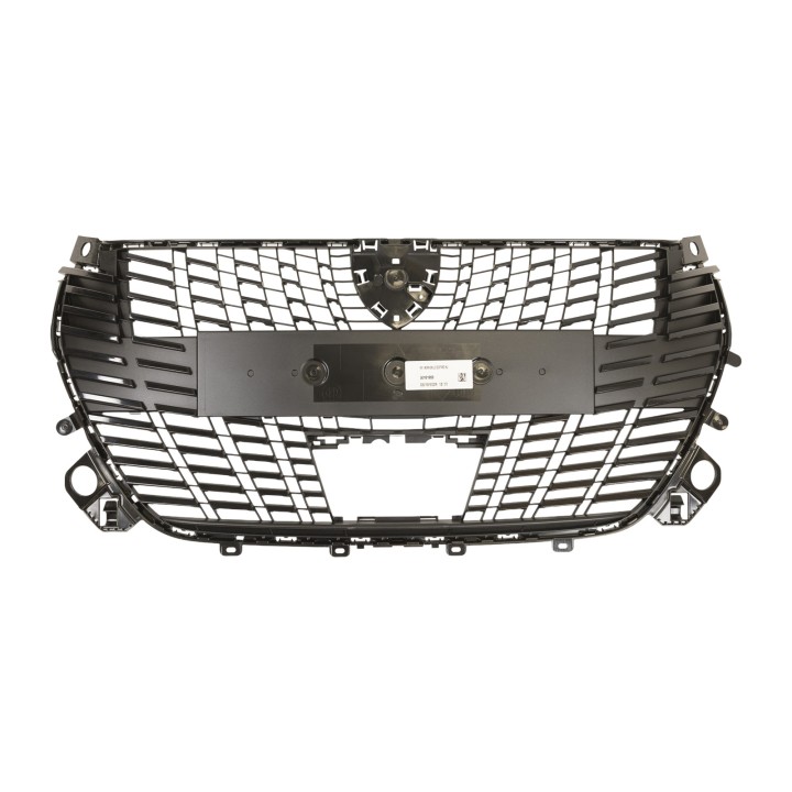 Radiator grille 9855774880