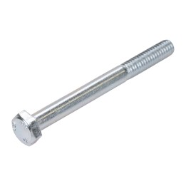 M6 x 60 mm bolt