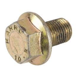 Screw for torque converter mounting, 4381371