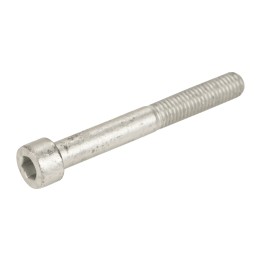 Bolt M 6 x 65 mm 16691424
