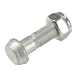 Vite (a mezza testa) con testa KW. 2101-2201107-KIT