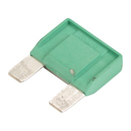 Standard 30-amp flat plug fuse 11056090