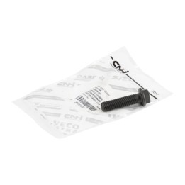 Screw for flywheel 504107633