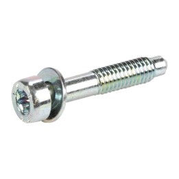 Screw 55214854